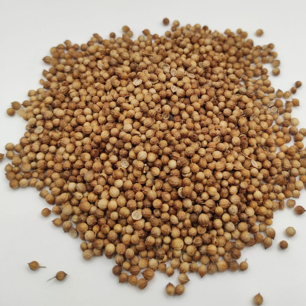 CORRIANDER SEEDS WHOLE 1.5 KG