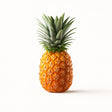 Product 9053316907213 Image