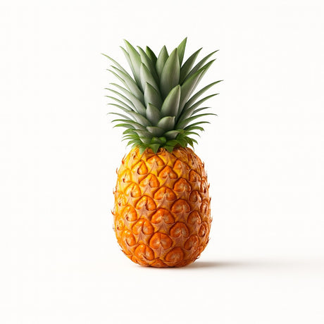 Product 9053316907213 Image