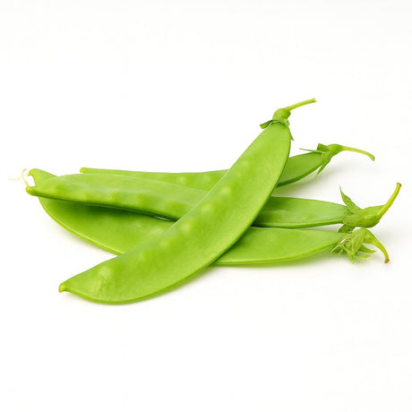 Product 9053316088013 Image