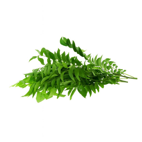 Product 9049239322829 Image