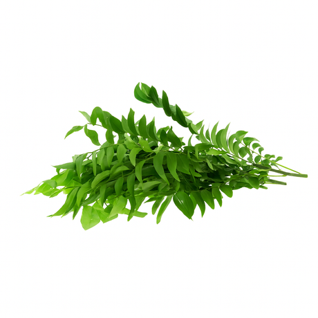 Product 9049241190605 Image