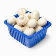 Product 9055708152013 Image