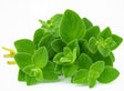 Product 9053316153549 Image