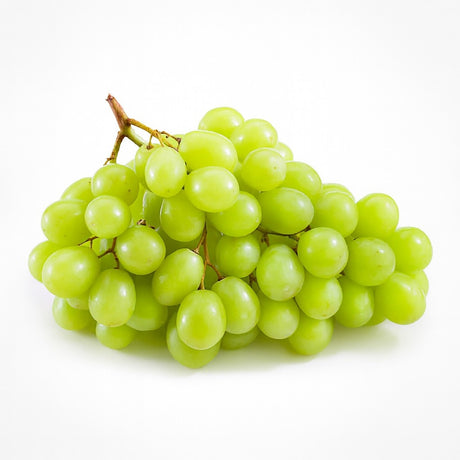 Product 9053316808909 Image