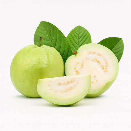 Product 9053316382925 Image