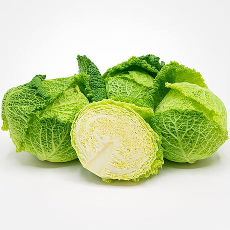 Product 9049240240333 Image
