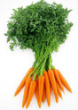 Product 9049240961229 Image