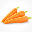Product 9049239781581 Image