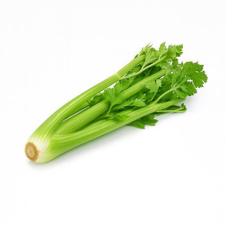 Product 9049238962381 Image