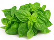 Product 9049237258445 Image