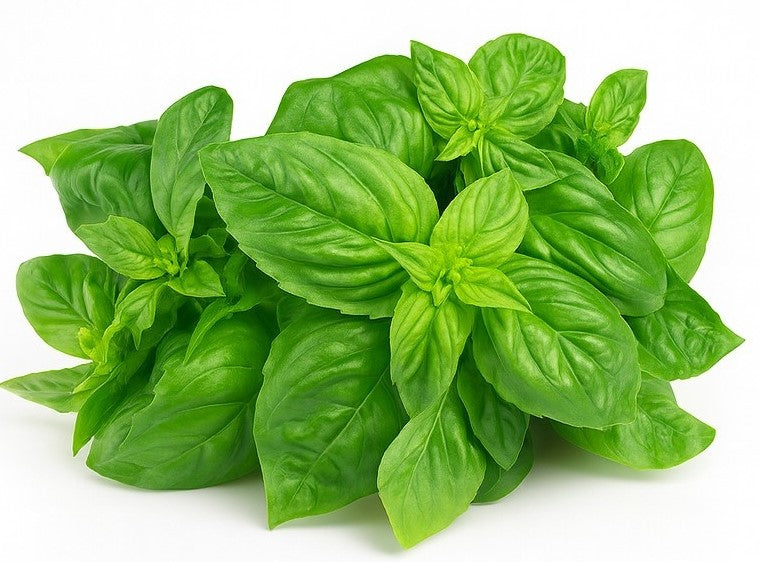 C-BASIL THAI GREEN FRESH HAWAII LBS