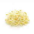 Product 9049240502477 Image