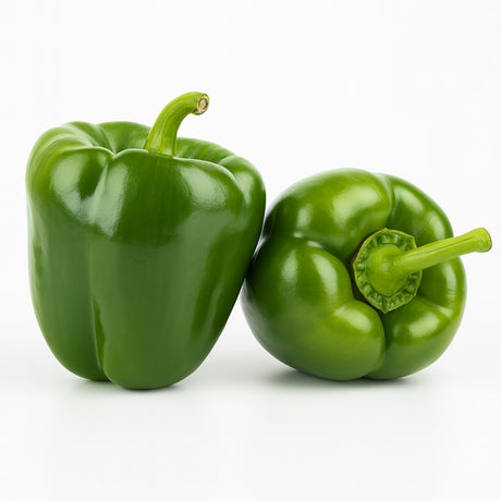 Product 9049237946573 Image