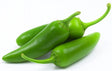 Product 9049237520589 Image