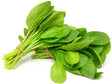 Product 9049292669133 Image