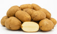 Product 9049238438093 Image