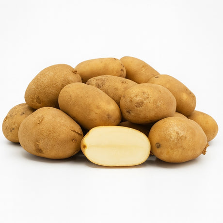 Product 9049235914957 Image