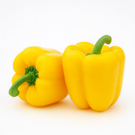 Product 9049238077645 Image