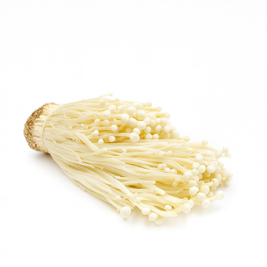 Product 9053315760333 Image