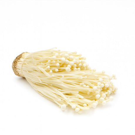Product 9053315760333 Image