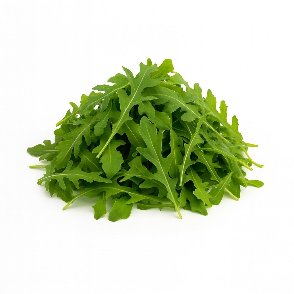 Product 9053316677837 Image