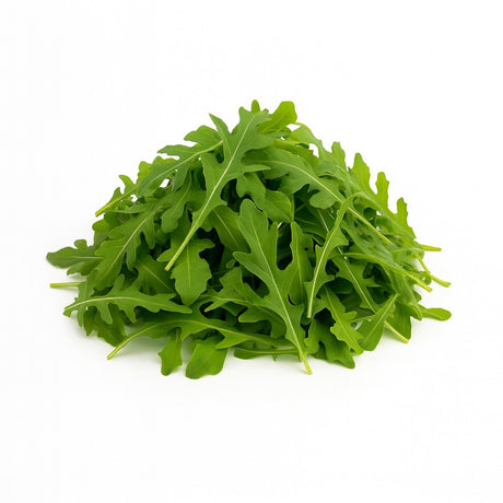 Product 9053316677837 Image
