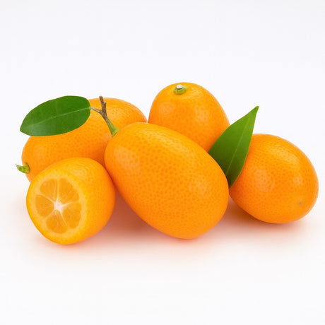 Product 9053316317389 Image