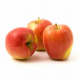 Product 9049236504781 Image
