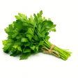 Product 9053315629261 Image