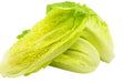 Product 9049239847117 Image
