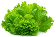 Product 9049239060685 Image