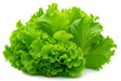 Product 9049236570317 Image