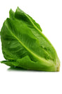 Product 9049240404173 Image