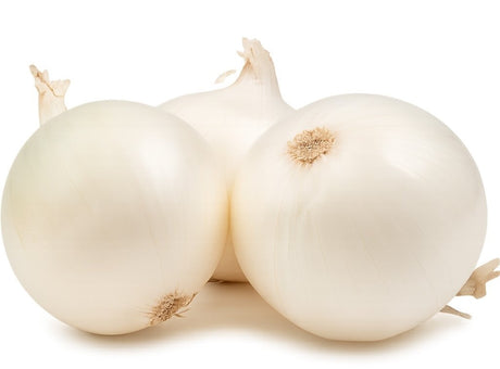 Product 9049240010957 Image