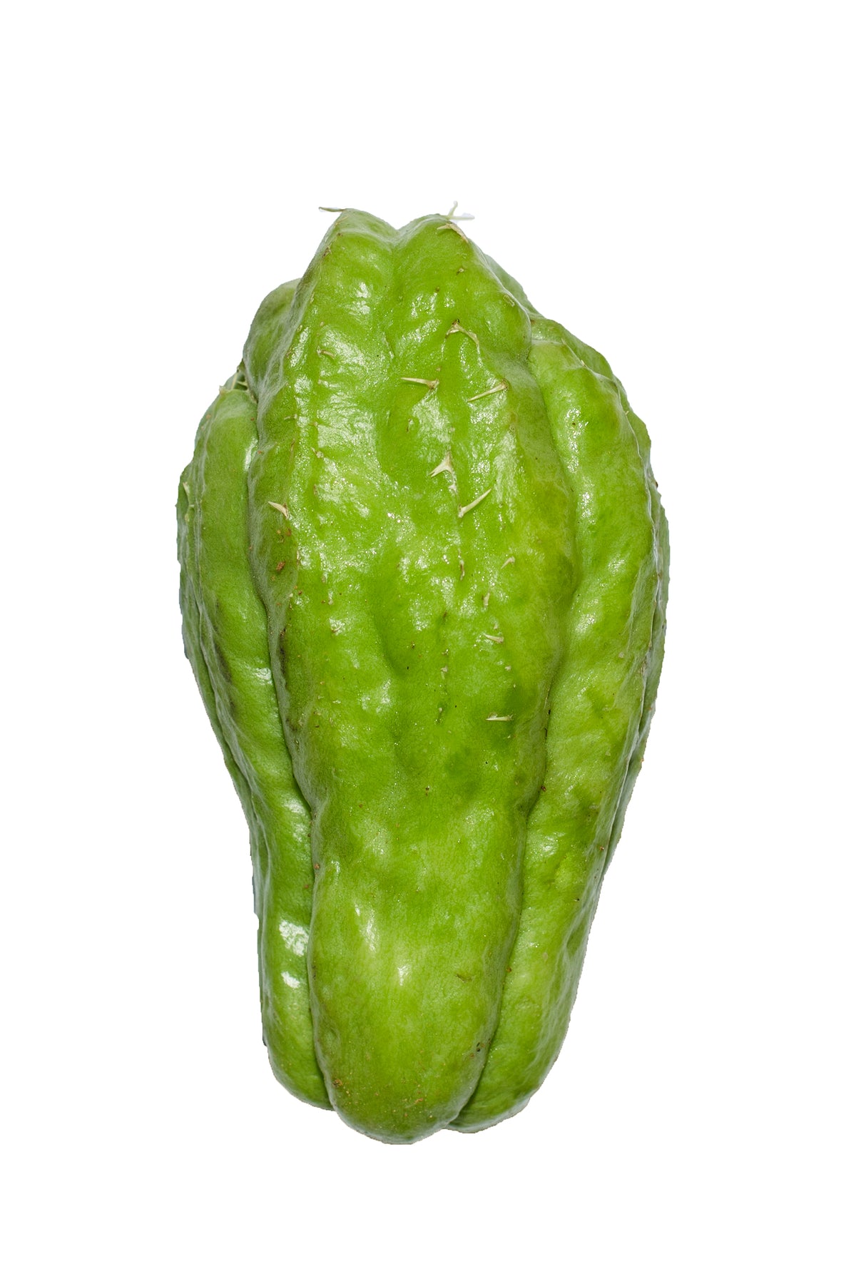 CHAYOTE SQUASH LBS