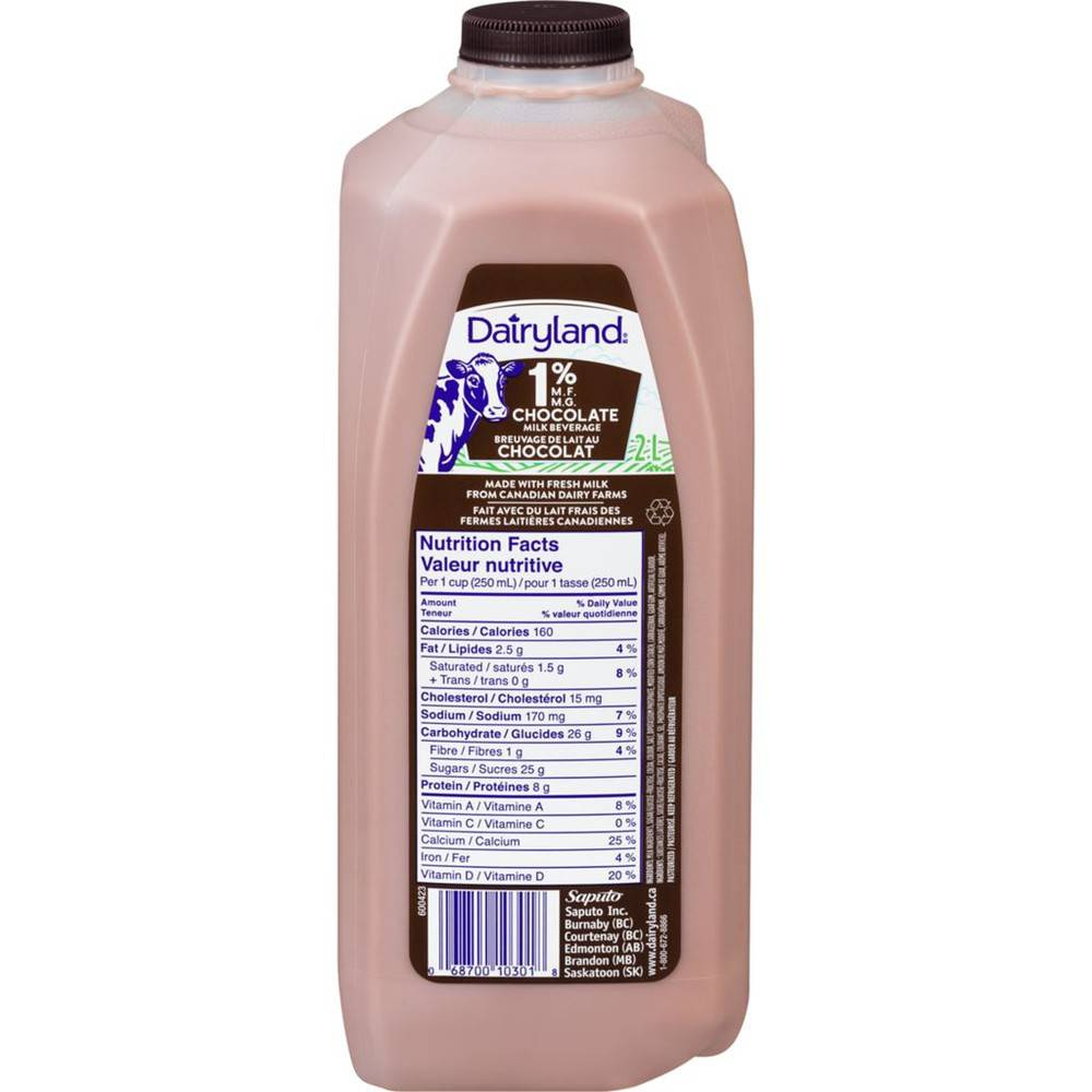 DAIRYLAND CHOC MILK 1%
