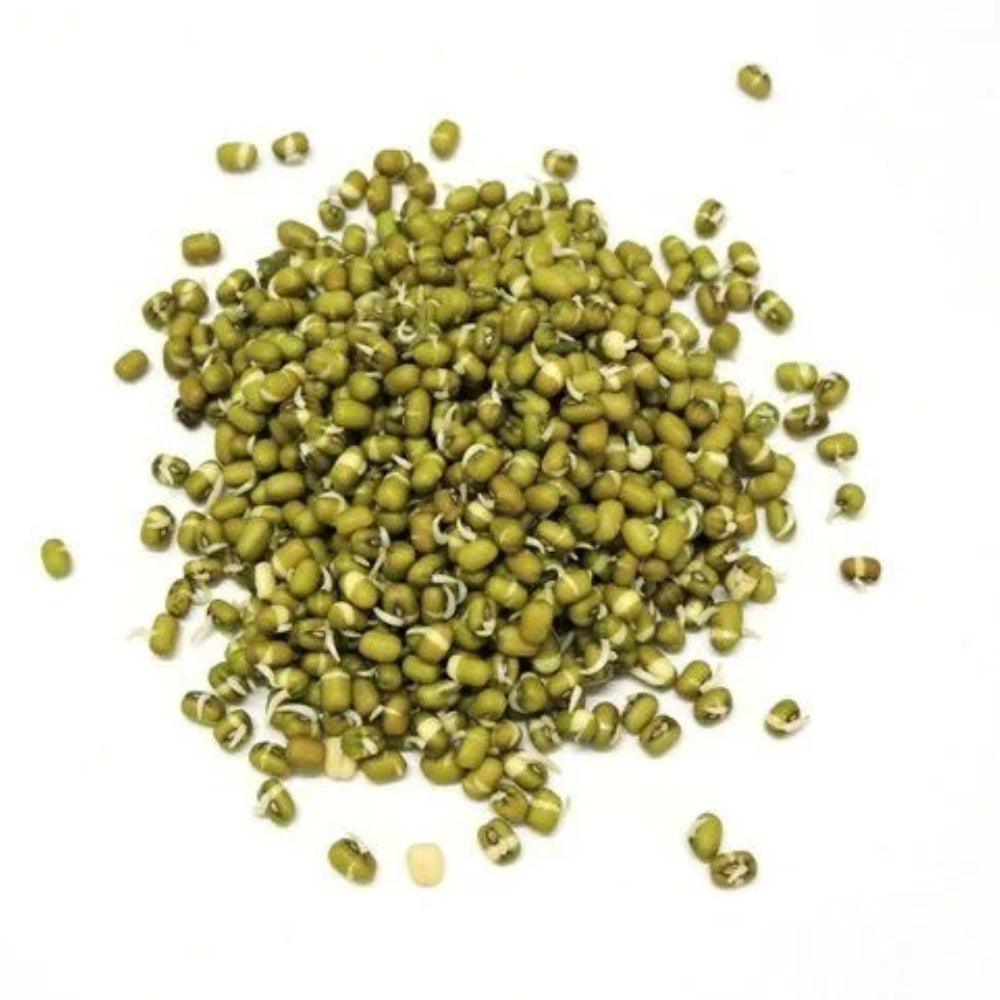 GREEN MUNG BEAN THREAD WHITE 250 GM