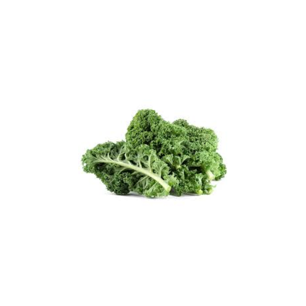 KALE GREEN FRESH BC LBS CASE