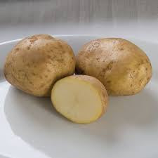POTATO KENNEBEC