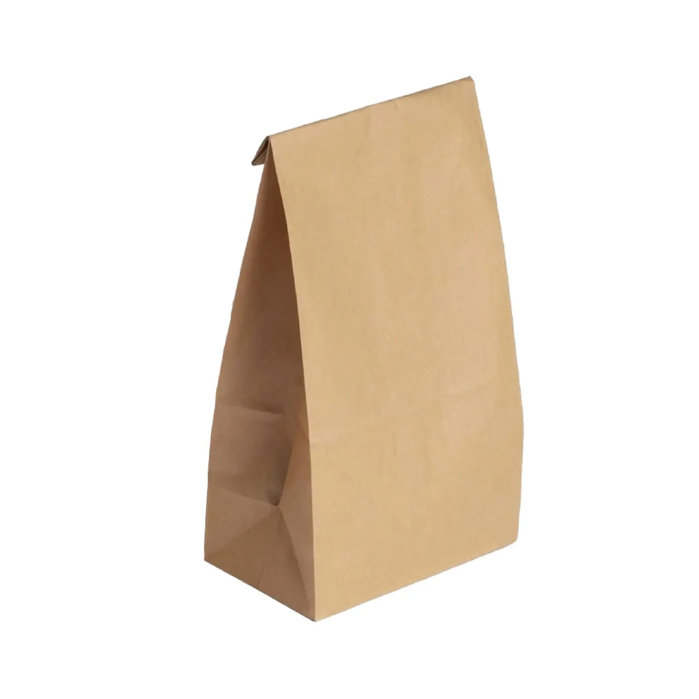KRAFT PAPER BAG WITHOUT HANDLE MEDIUM #525 (500PCS)