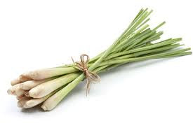 LEMONGRASS FRESH EA