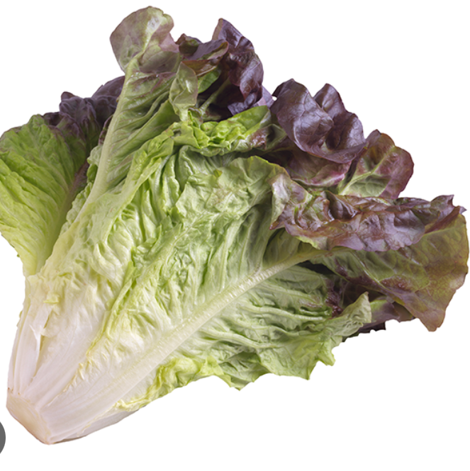 LETTUCE RED LEAF FRESH BC 24 CTN CS