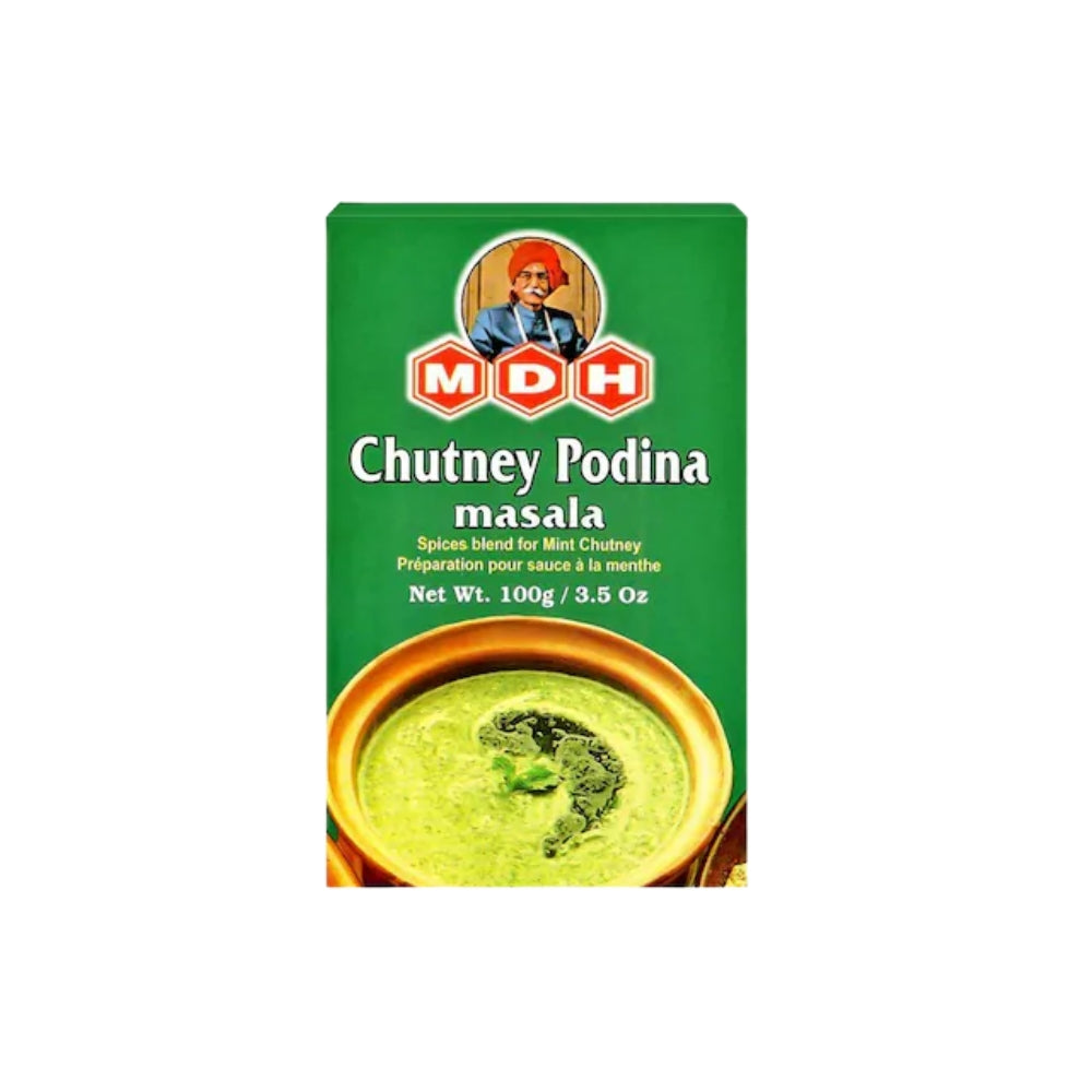 MDH PUDHINA CHUTNEY 100 GM