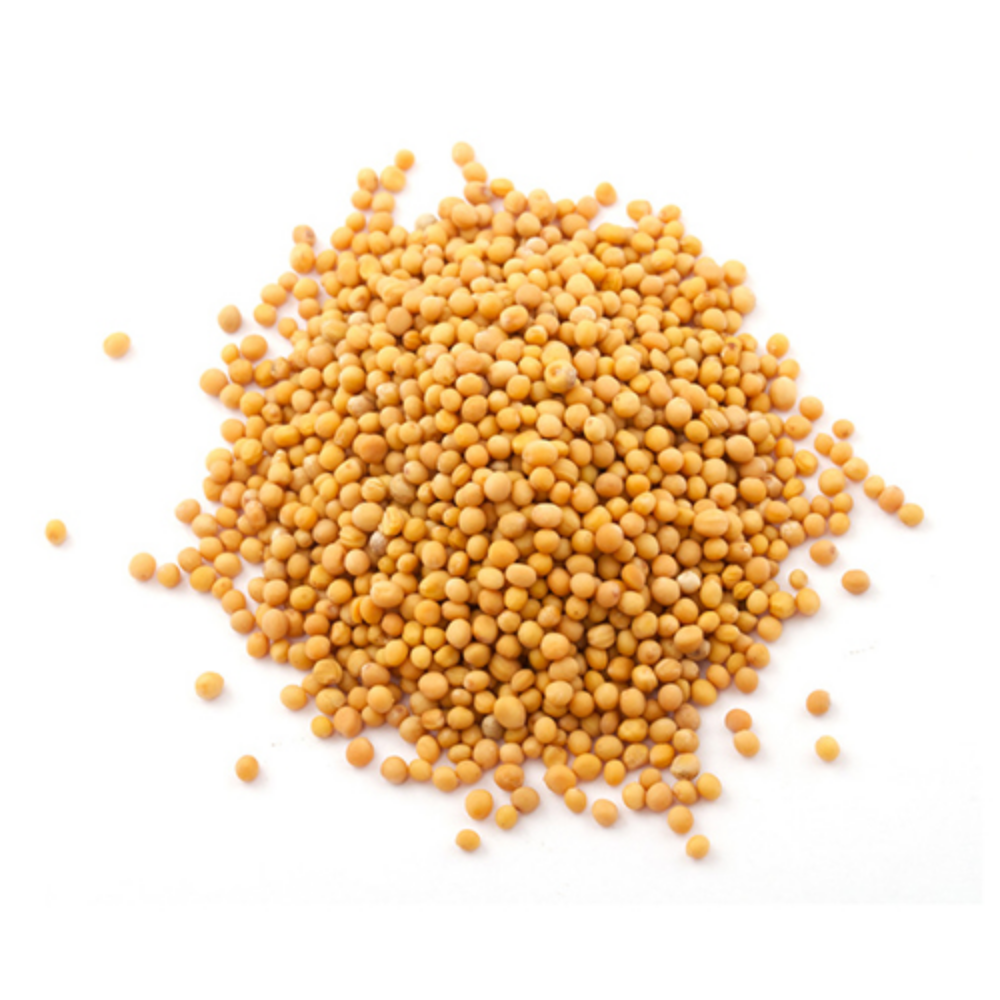 MUSTARD SEED YELLOW WHOLE 5 LBS