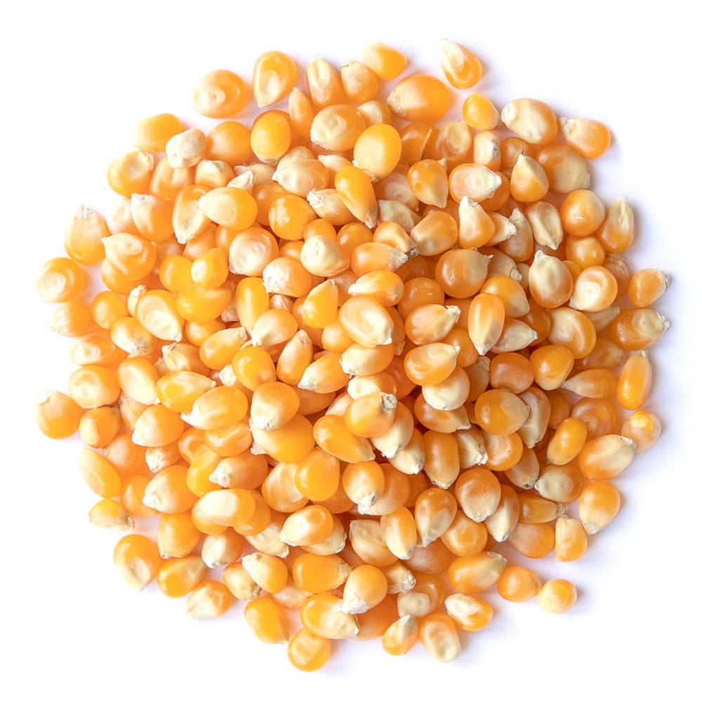 ORGANIC POPPING CORN YELLOW KERNELS 25 LBS
