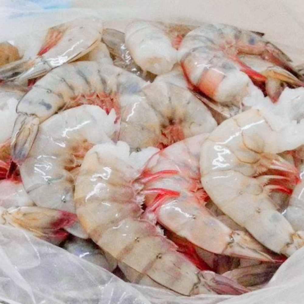PACIFIC WHITE SHRIMP PTO NILA 21-25 1.8 LB CREVETTE