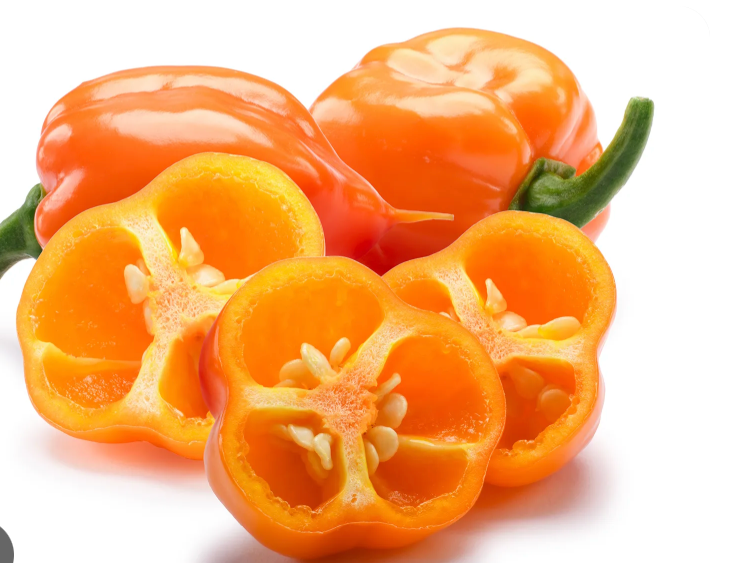 PEPPERS HABANERO MEX FRESH 1 LBS