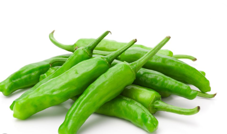 PEPPERS SHISHITO FRESH 10 LBS CS