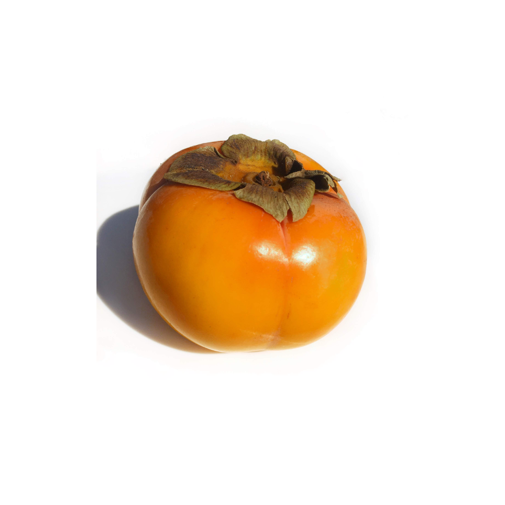PERSIMMONS FUYU VF NO.1 MED KOREA 10 KG CASE